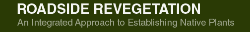 ROADSIDE REVEGETATION&mdash;An Integrated Approach to Establishing Native Plants