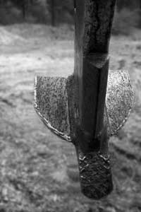 Figure 10.8 - Soil shattering becomes more effective when wings are mounted on subsoil tines. This equipment is called a winged subsoiler. Photo courtesy Brent Roath.