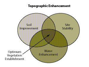 Figure 10.43 - Integrating soil improvement, site stability, and water harvesting is critical when designing topographic enhancement features.