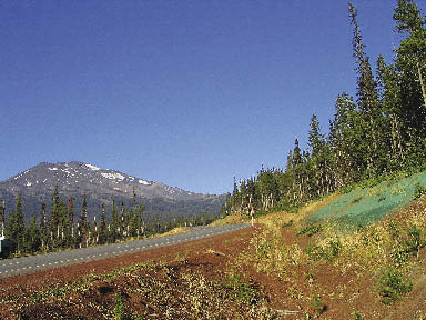 Revegetation Plan Example: Sunriver to Mt. Bachelor Draft Revegetation Plan