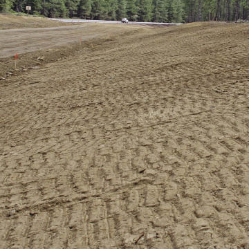 Figure 10.11 - Trackwalking creates imprints on the soil surface, but will also compact surface and subsurface soils.
