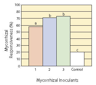 Figure 10.37c - Several commercial AMF inoculums are available and consist of fungal spores mixed with an inert carrier to aid in application. Coarser-textured products (A) can be incorporated into soil or growing media, whereas finer-textured products can be sprayed like a wettable powder (B). Tests of inoculation effectiveness have shown significant differences between products (C). To confirm inoculation, plant roots must be stained so that the fungal hyphae are visible under a microscope (D). C modified from Corkidi and others (2005). 