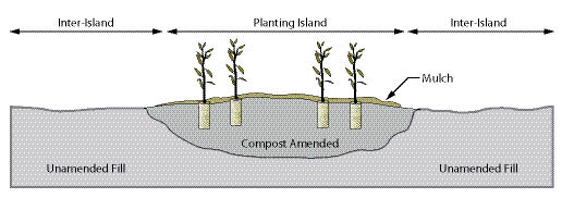 Figure 10.48 - Illustration of a typical cross-section of a planting island where soil depth is enhanced for tree establishment. Inter-island areas are planted to shrubs and grasses.