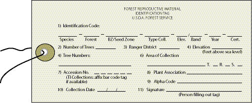 Figure 10.53 - A Forest Reproductive Materials Identification Tag should be completed and attached to each collection bag sent to the seed extractory. A copy should also be placed inside the bag.