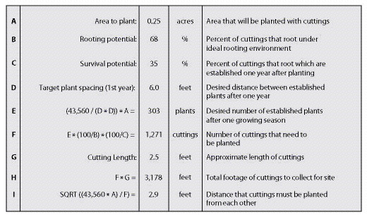 Figure 10.56 - This spreadsheet can be used to calculate the number of cuttings to collect and how close to plant them on the project site.