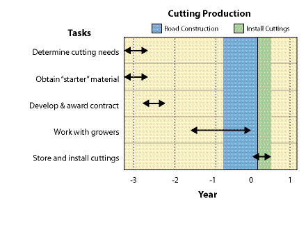 Cutting In Plants