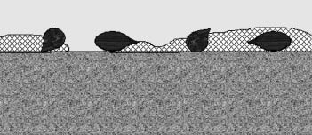 Figure 10.95 - Applying seeds in a hydromulch places a portion of seeds on the soil surface and some suspended in the hydroseeding matrix above the surface. 