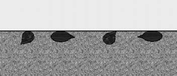 Figure 10.88 - Pressing seeds into the soil surface improves germination by increasing soil contact. 