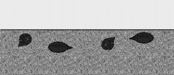 Figure 10.89 - Seeds mixed under the soil surface puts them in direct contact with the soil, greatly improving germination.