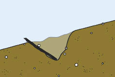 Figure 10.113 - Live brush layers are cuttings that are placed on benches and covered with soil (A). The basal end of the cuttings should extend back to the base of the bench, and the growing tip should just show out of the soil. When placed on the contour and at regular intervals, live brush layers form a network of roots and vegetation that tie the slope together in a series of strips, increasing slope stability and reducing erosion.