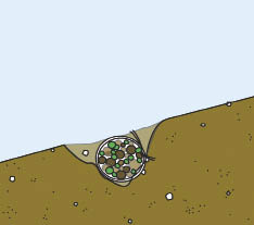 Figure 10.114a - Live fascines are long bundles of cuttings placed in trenches constructed perpendicular to the slope. The bundles are placed in contact with the soil, with the upper portion of the fascine covered by a thin layer of soil (A). Fascines initiate shoots and roots in the spring, and are established by early summer (B). 