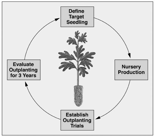 Figure 10.129 - Monitoring the survival and growth of nursery stock for several years after planting provides valuable information for future projects.