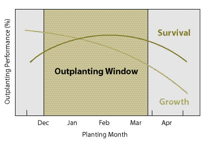 Figure 10.116 - The best time to plant your project site (the "outplanting window") will depend on local weather and soil moisture conditions. In the Pacific Northwest, this is typically during late winter or early spring, when soil water content is high and atmospheric drying potential is low (modified from South and Mexal 1984).