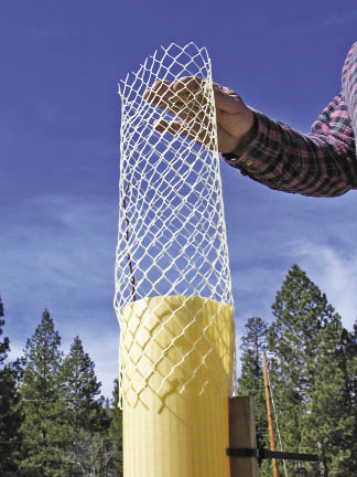 Figure 10.133 - Rigid tubing can be installed over the top of the tree shelter to protect seedlings from larger browsing animals.