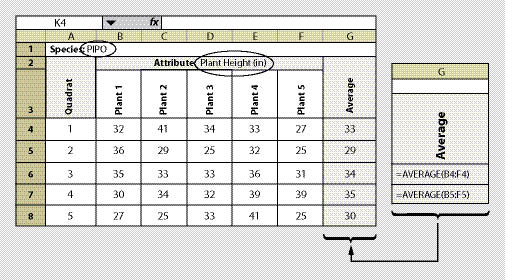 Figure 12.10 - A spreadsheet is shown here for recording one species and one attribute. This spreadsheet can be developed to record several attributes or several species.