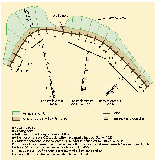 Figure 12.11 - Linear sampling areas are typically long units with varying widths. Road cuts, fills and abandoned roads typically fit this sampling design. The design of linear sampling areas uses a series of transects with uniformly spaced quadrats within each transect. The distance between quadrats varies by the length of the transect. Transects longer than 100 feet have 20 feet of spacing between quadrats (T4 through T6), transects between 20 and 100 feet have 10 feet between quadrats (T9 through T14), and transects less than 20 feet long have two randomly placed quadrats (T15 through T20).