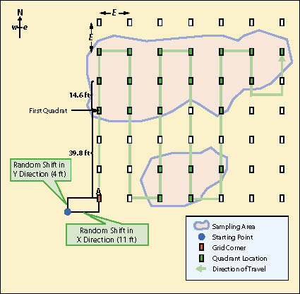 Figure 12.13 - For rectangular or elliptical sampling areas, a grid composed of quadrats is used. The length of the grid cells (E) is calculated , which becomes the standard distance between quadrats for this sampling area. To avoid bias, the x and y axis of the grid is randomly offset. The monitoring team follows compass bearings and uses a measuring tape in a systematic manner to locate all quadrats.