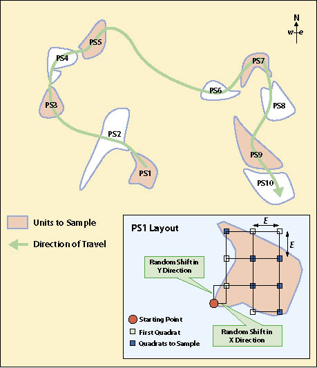 Figure 12.14 - A systematic sample of dispersed areas, shown in this example, is based on 50% sampling (the pink areas). Alternating dispersed areas were sampled. Quadrats were located in each sampling area by first locating a starting point and then measuring off random x and y offset coordinates to locate the first quadrat of the sampling grid.