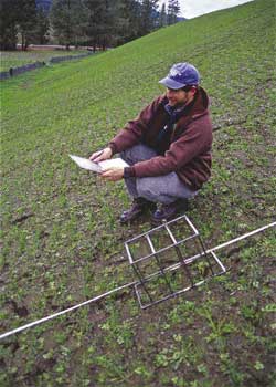 Figure 12.2 - A fixed frame for measuring soil cover is placed at predetermined distances on a transect.