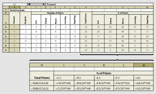 Figure 12.4 - A data collection and summary form can be developed similar to the first 7 columns in this spreadsheet. The field recorder fills in the transect and quadrat number at each plot (columns A and B). The names of the attributes being sampled are written in cells C3 through G3. The columns below each attribute (columns C through G) are filled in with the number of points out of 20 that fall into each category. These points are converted into percent of total points by copying the equations from columns H through M. Filling in the equations can be done simply and accurately by filling out the first row (cells H4 through M4) exactly as it is shown in the figure, then highlighting the first row of cells, and moving the cursor to the lower right hand corner of the last cell. When the cursor turns into a small cross, click and drag the cells down. The equations will fill in as you drag the cursor down the page. Note: Rectilinear study areas will not use the transect column.