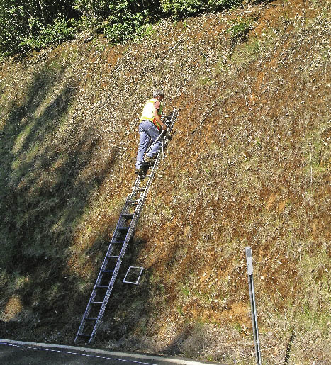 Figure 12.6 - Road cuts are often too steep for sampling without the aid of ladders or ropes. A hazard analysis must be conducted prior to implementing such measures. For the monitoring shown in this picture, a camera was used for the soil cover protocol which cut down the amount of time spent on the ladder (Photo by Greg Carey).