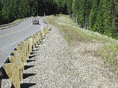 Figure 1.5 - Past shortcomings can often be attributed to a lack of an integrated approach and proper coordination. This photo shows an area recently revegetated with native plants that has been sprayed with herbicide.