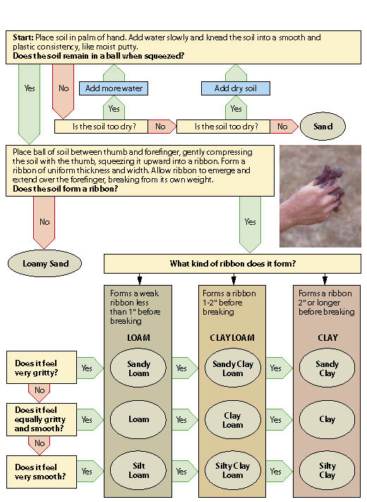 Figure 5.10 - Soil texture by feel method. Adapted from Colorado State University Extension Publication (GardenNotes #214 at http://www.ext.colostate.edu/mg/files/gardennotes/214-EstTexture.html).