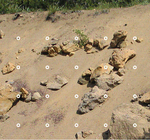 Figure 5.12 - The amount of rock in a section of soil can be roughly estimated from road cuts. Large rock can be determined by laying a grid of 20 circles over a photograph of a road cut and recording the number of circles intercepting rock (in the center of the circle). This value is divided by the total number of circles in the grid to obtain the percentage of subsoil in rock fragments. In the picture below, subsoil contains approximately 25% large rock (5 intercepted rocks divided by 20 points).