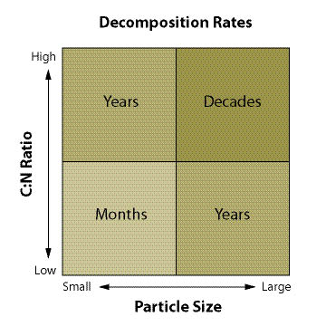 Figure 5.30 - Relative rates are a function of decomposition by Carbon to Nitrogen ratio and particle size. 