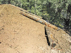 Figure 5.31 - Placement of large wood adds long-term organic matter while creating microsites for planting seedlings. Large wood can also slow runoff and detain sediments from surface soil erosion.