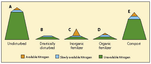 Figure 5.33 - Managing Nitrogen Capital. Undisturbed sites (A) have very high total nitrogen levels, with over 95% tied up in organic matter and not available (green). Slowly-available nitrogen (blue) makes up 1% to 3% of the total nitrogen; available nitrogen for plant uptake (orange) is less than 2% of the total nitrogen. Nitrogen capital is essentially removed on drastically disturbed sites (B). The addition of inorganic fertilizer (C) dramatically increases available nitrogen, but does little to build nitrogen capital. The application of organic fertilizers (D) raises the available and the slowly-available nitrogen, but does not add to the long-term reserves. Adding compost to the soil can increase available, slowly-available, and total nitrogen reserves (E) to levels comparable to undisturbed soils (A).