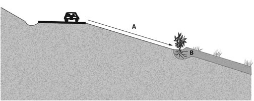 Figure 5.4 — Fill slope microcatchments take advantage of the low infiltration rates of compacted fill slopes. Water moves off impervious road surfaces and compacted road shoulders during rainstorms (A), and is captured in berms or flattened areas below the road shoulder (B). If this area is ripped and amended with organic matter, it becomes a very good environment for establishing shrubs and trees. Berms and/or flattened areas are also catchments for sediments.