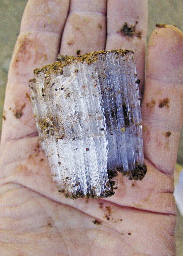 Figure 5.42 - Ice crystals that form under freeze-thaw conditions can lift soil particles over 2 inches above the original surface. Later in the day the crystals will melt and the particles will drop.