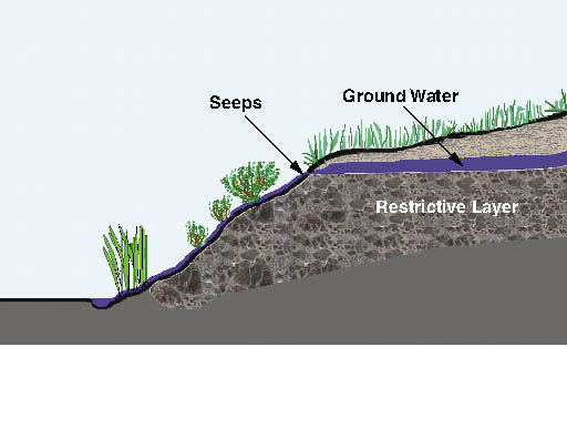 Figure 5.58 - Groundwater moves downslope above restrictive soil layers. Seeps are seen in road cuts where the restrictive layer is exposed. Increased soil water that occurs above restrictive layers can increase slope instability.