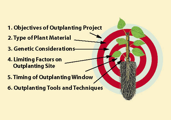 Figure 6.3 - The Target Plant Concept identifies 6 requirements for establishing native plants (adapted from Landis and Dumroese 2006).