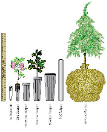 Figure 6.5 - Nursery stock is available in many container sizes and shapes. Consider the advantages and drawbacks of different options before ordering plants.