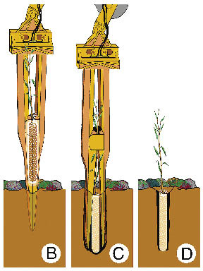 Figure 6.6 - Match stocktypes to outplanting options and equipment available. The expandable stinger (A) is a special planting machinery that attaches to the arm of an excavator. Long-tube stocktypes are placed in the stinger and pushed in the soil (B). The stinger opens and plants the seedling in the soil (C, D). This machinery can reach very steep, rocky slopes that are inaccessible for manual planting.