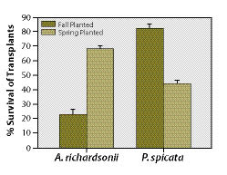 Figure 6.7 - Outplanting must be timed properly for best results given site conditions and species requirements (reproduced from Page and Bork 2005).