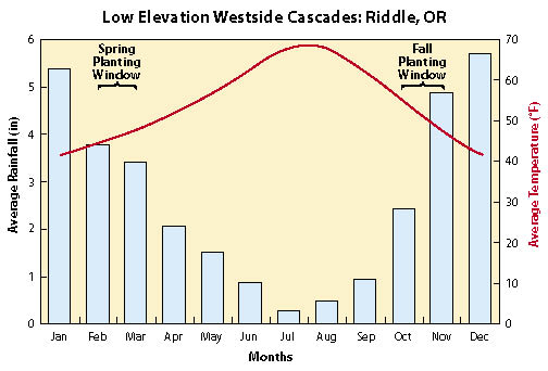 Case Study: Low Elevation, Western Cascade Site