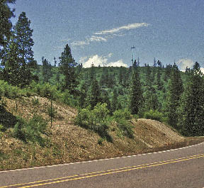 Figure 6.9 - The climate at this project site is typified by dry, mild summers and cold winters with a snow pack extending from late fall to late winter.