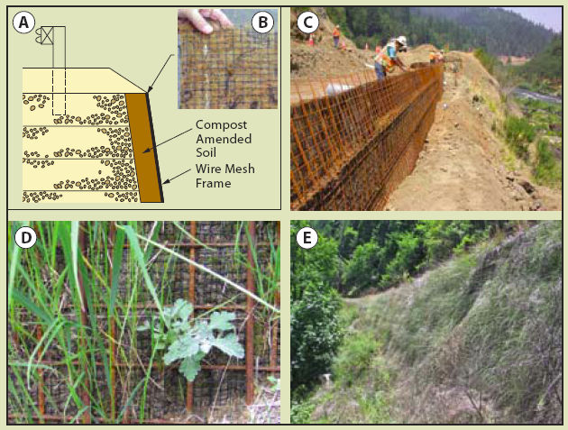 Inset 10.3 - Case Study: Erosion Mats with Native Grasses and Forbs