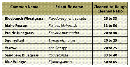 Table 10.12 - Typical ranges of "cleaned-to-rough cleaned" seed ratios. To obtain the amounts of "rough" seeds to collect, divide the amount of cleaned seeds needed by the "cleaned-to-rough cleaned" ratio. For example, if 5 lb cleaned seeds of prairie Junegrass (Koeleria macrantha) are needed, a minimum of 12.5 lb rough cleaned seeds must be collected (5/40*100=12.5) (Chart based on R6 Forest Service seed collections data.)