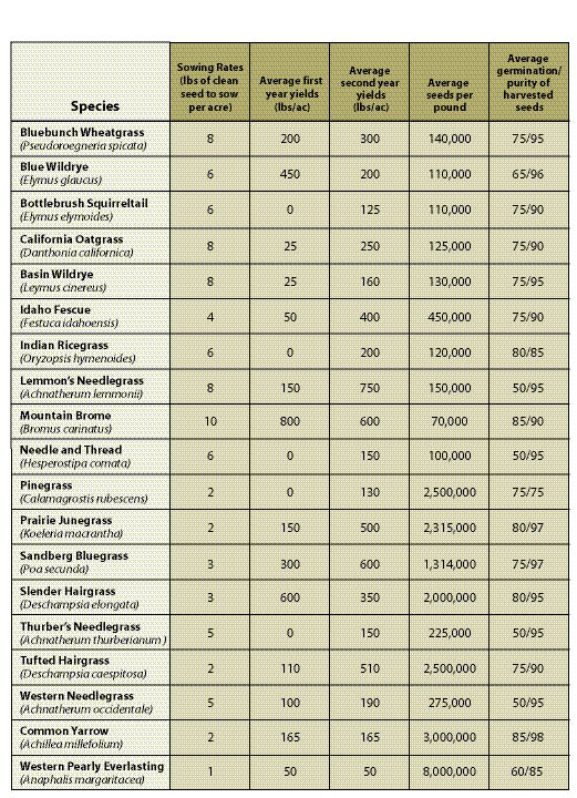 Table 10.14 - A seed increase reference table showing the approximate maximum cleaned seed needed for a seed producer to produce a 1-acre production field. It also shows average first and second year yields and germination and purity standards for commonly produced species.