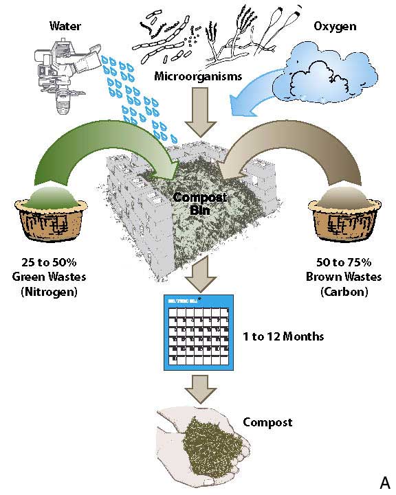 Inset 10.6 - Compost Production