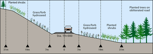 Illustration - revegetation zones near roadside