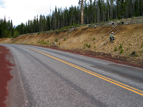 Photo - site deficient of topsoil