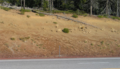 Photo - Sunriver to Bachelor Project